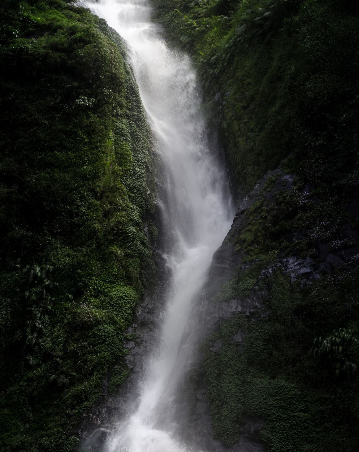 a water stream